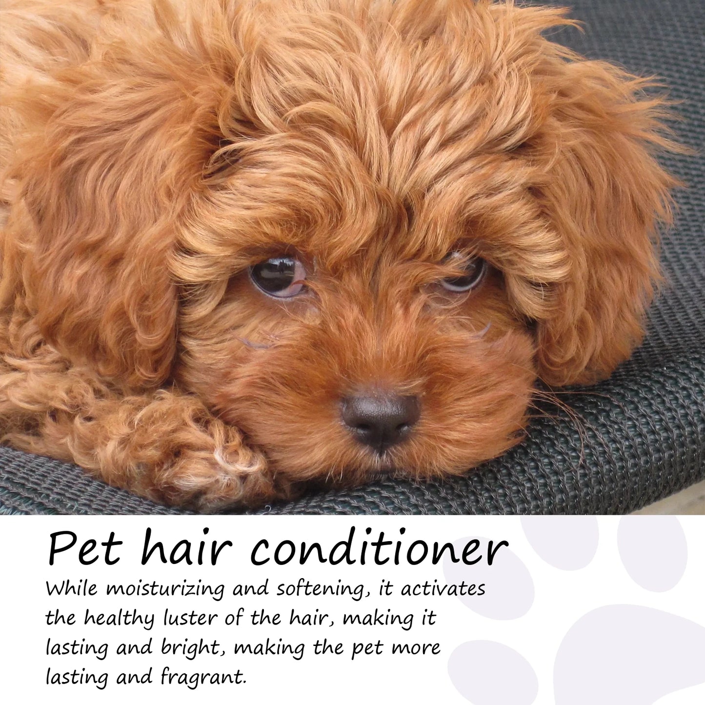 50ml Non-Knotted Pet Hair Care Cream