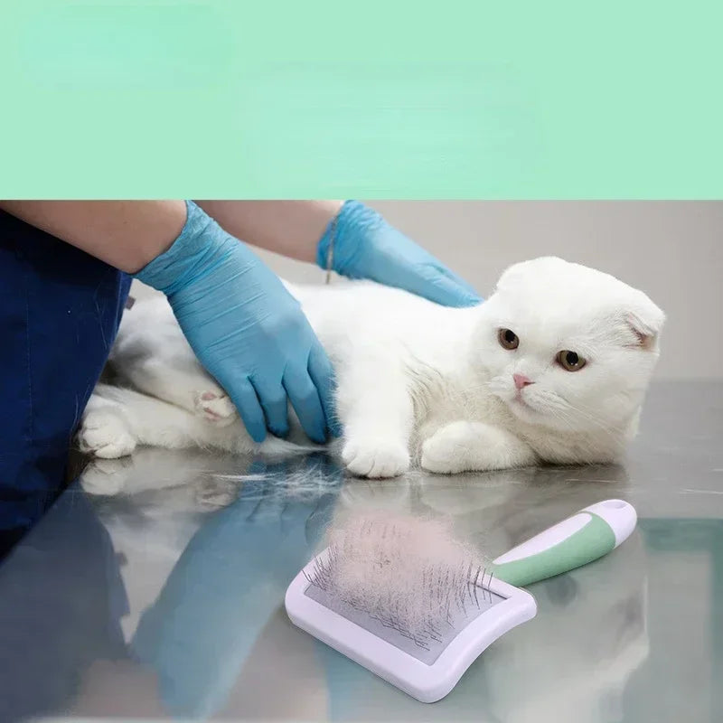 Pet Dog Brush Comb Cat Hair Remover Massage Grooming Tool for Small Breeds Dogs Comb Hair Brush Cleaning Supplies Accessory