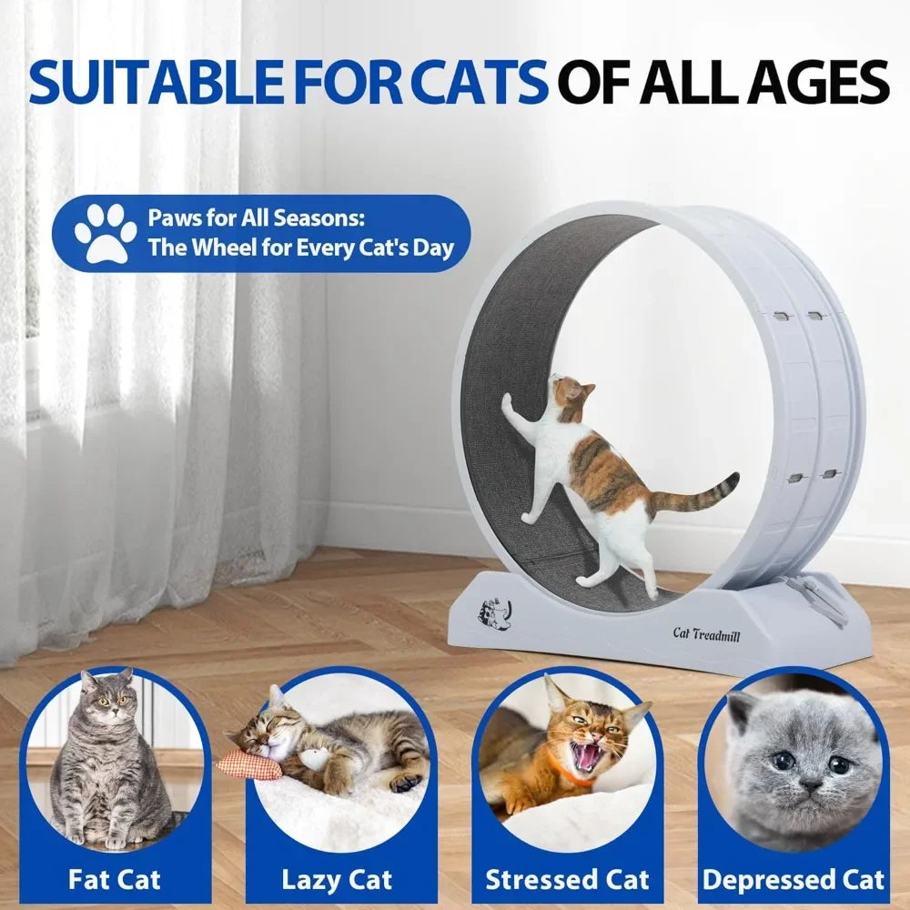 Cat Exercise Wheel