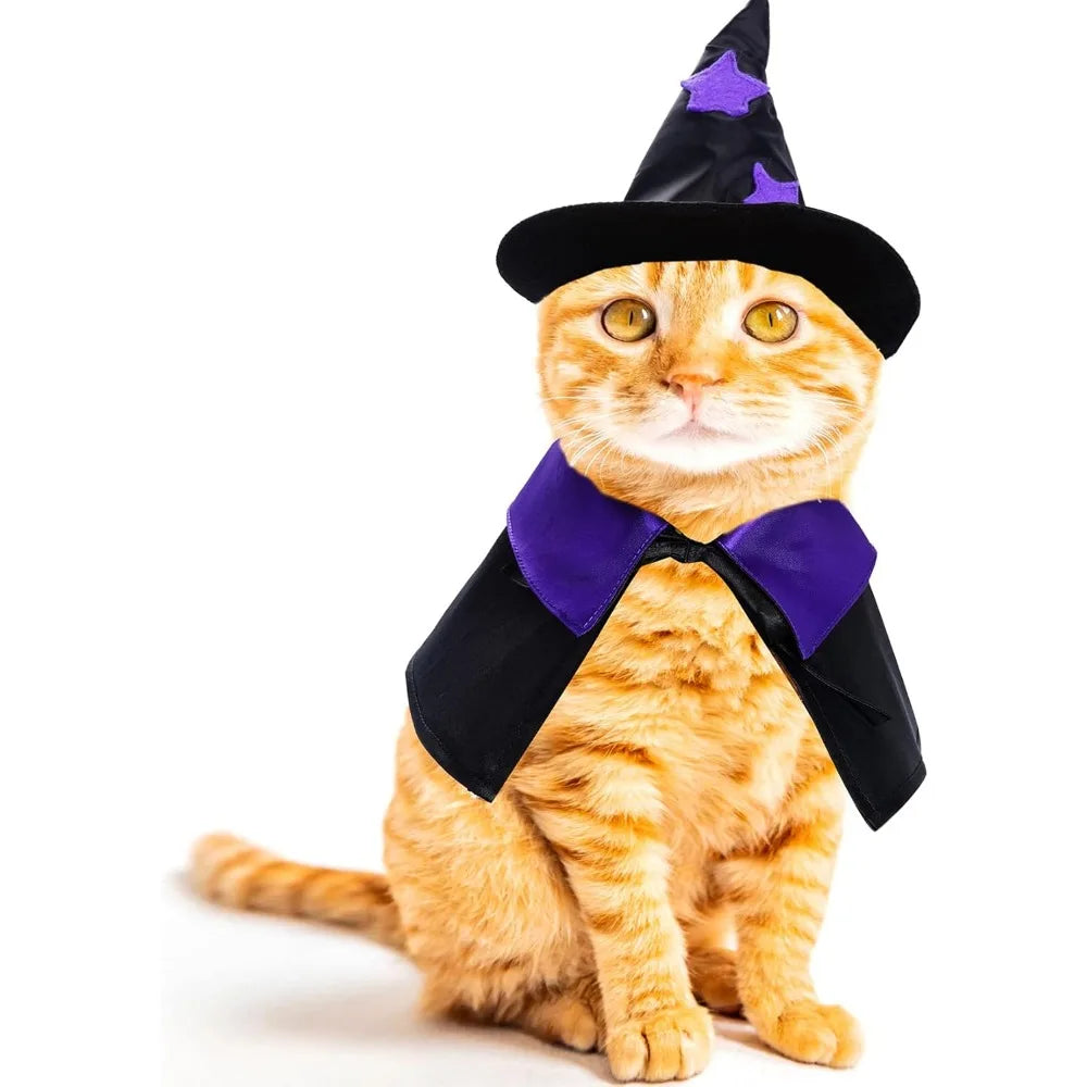 Halloween Pet Costume Cat Wizard
