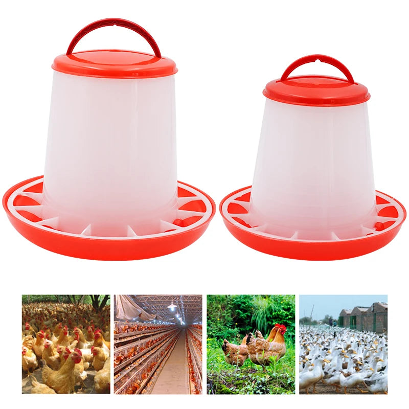 Chicken Feeder Bucket