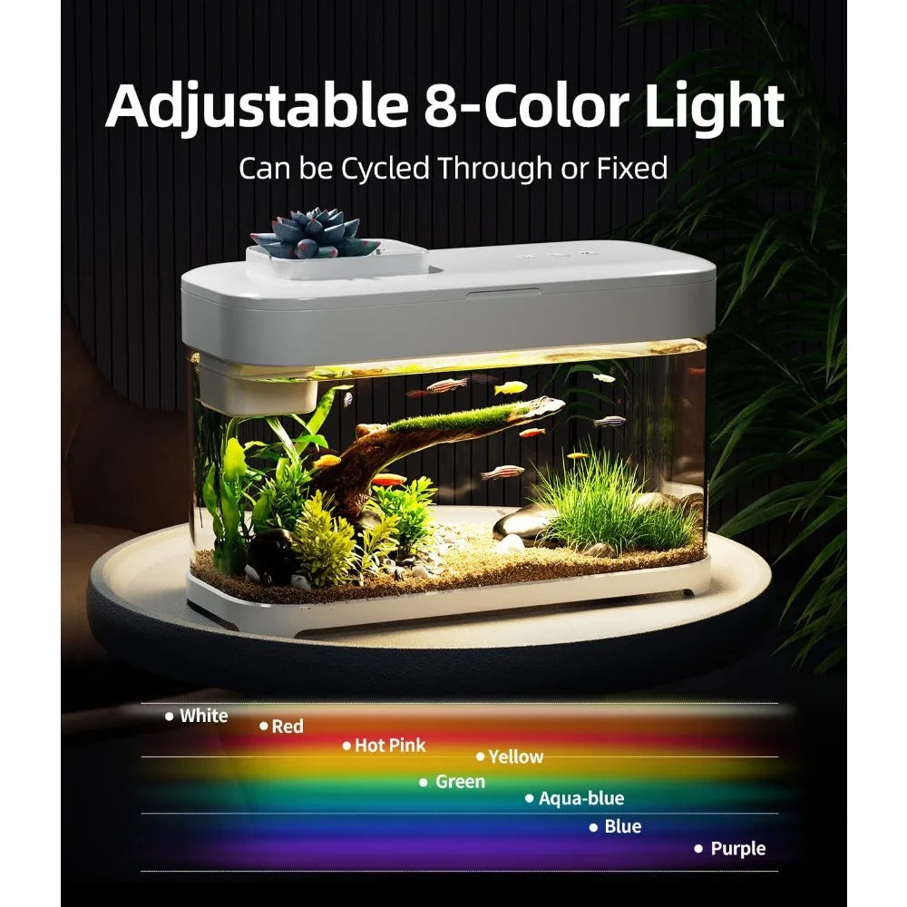 Smart Betta Fish Tank Aquarium 3 Gallon