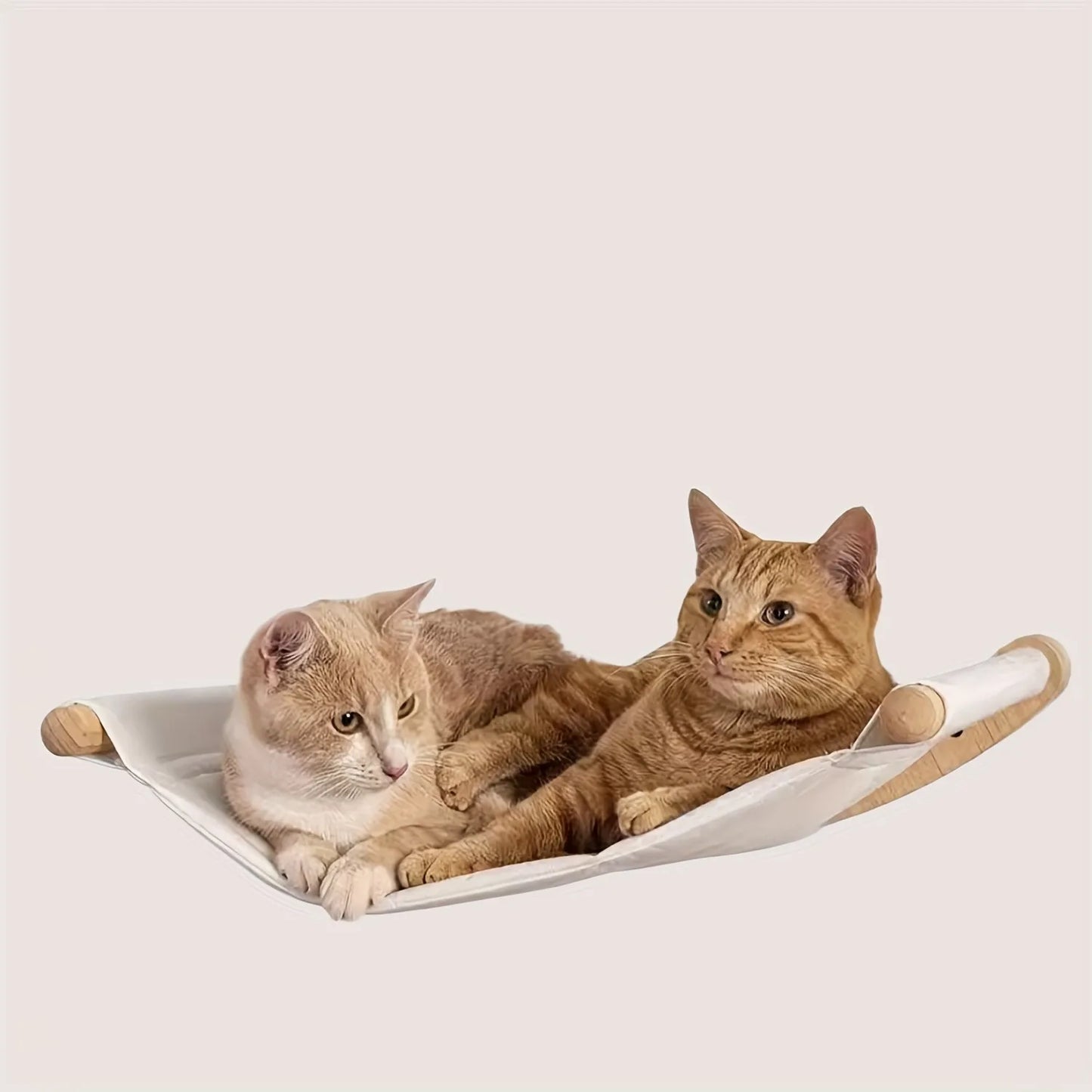 Cat Hammock Wall Mounted Cat Shelf With Two Steps