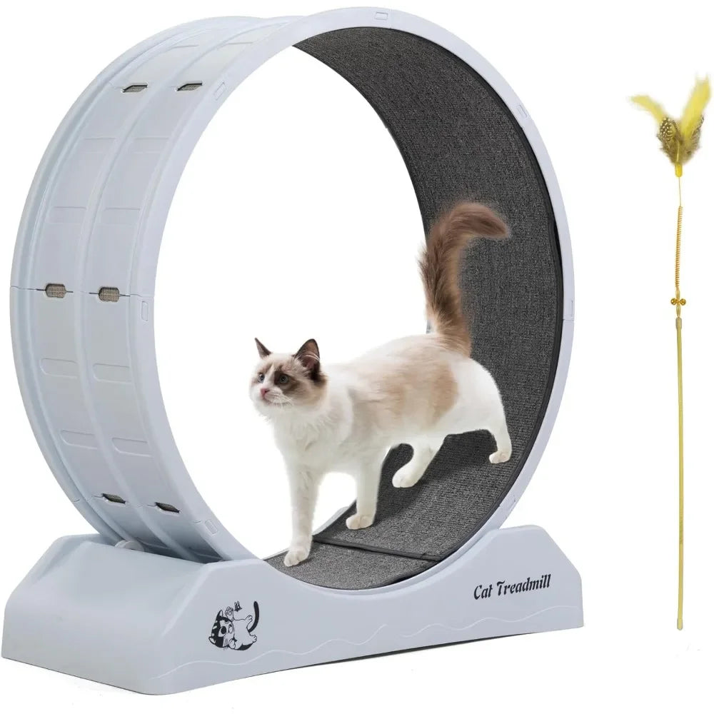 Cat Exercise Wheel