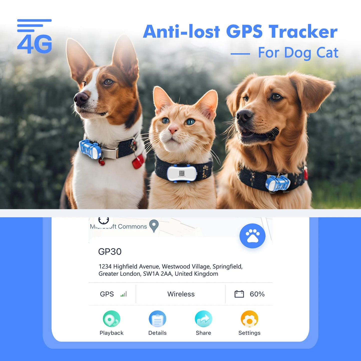Dog Cat GPS Tracker