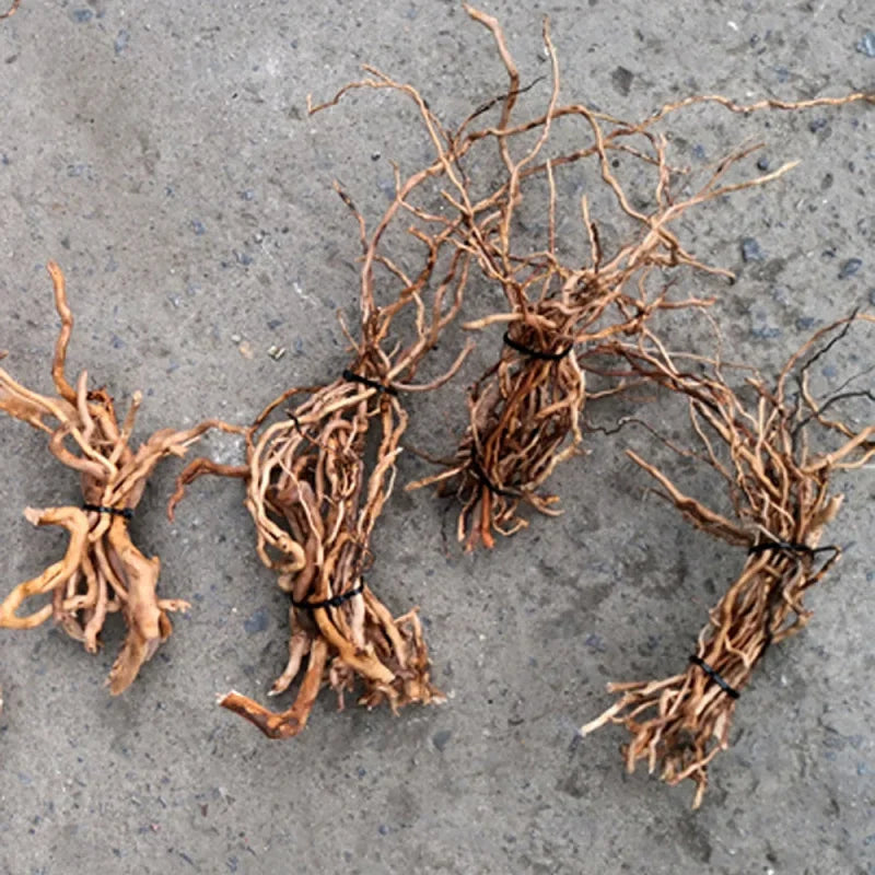 Aquarium Micro Landscape Natural Driftwood