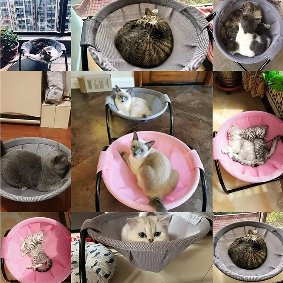 Cat Bed Pet Hammock