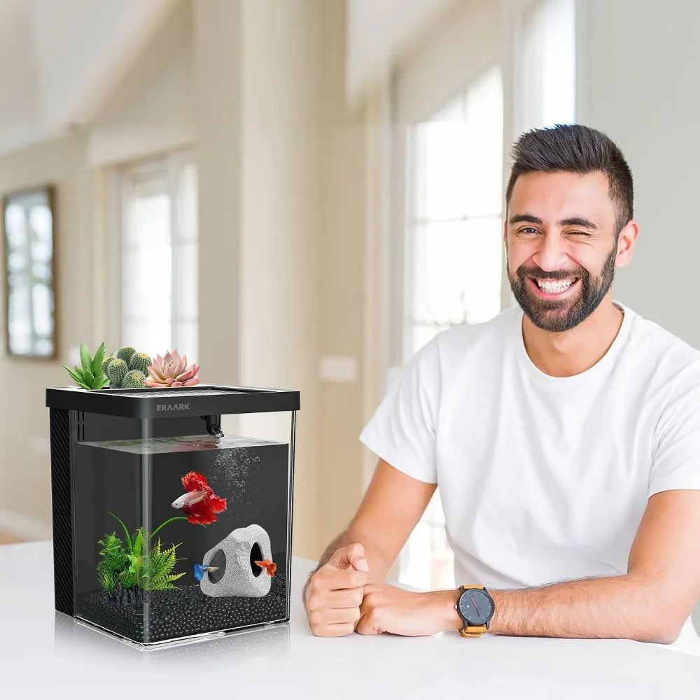 Betta Fish Tank