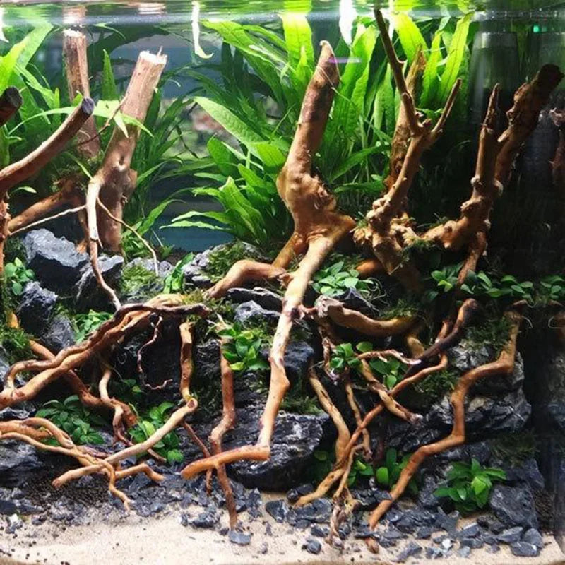Aquarium Micro Landscape Natural Driftwood