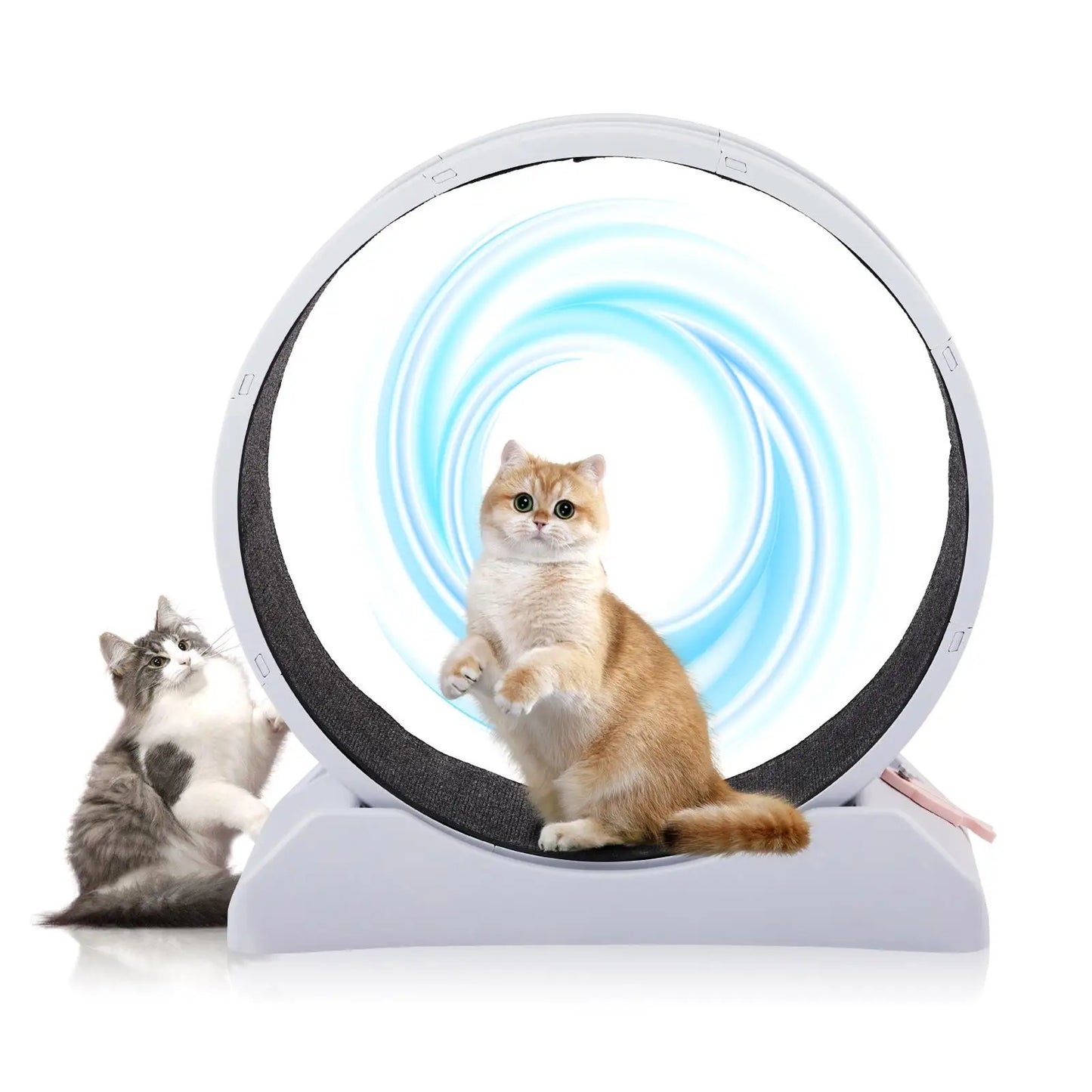 , 31-Inch Treadmill for cats