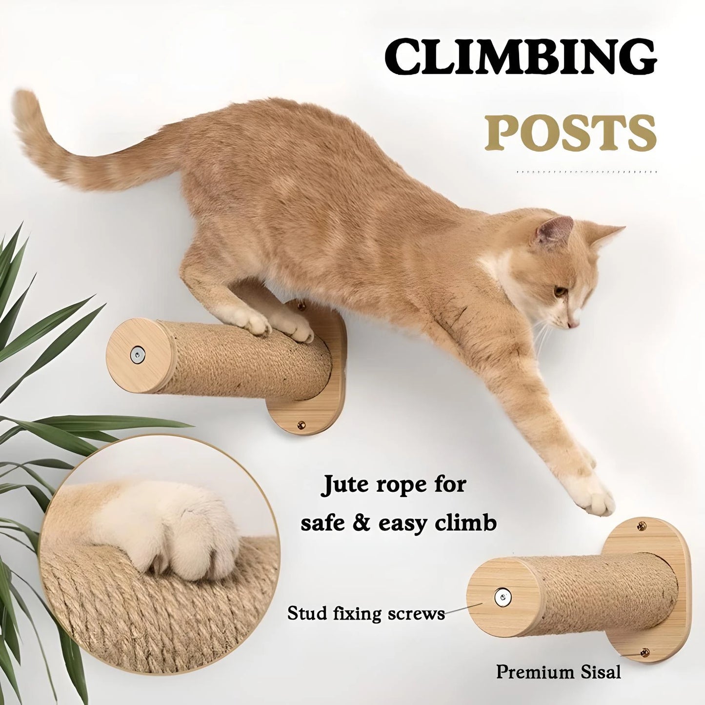 Cat Hammock Wall Mounted Cat Shelf With Two Steps
