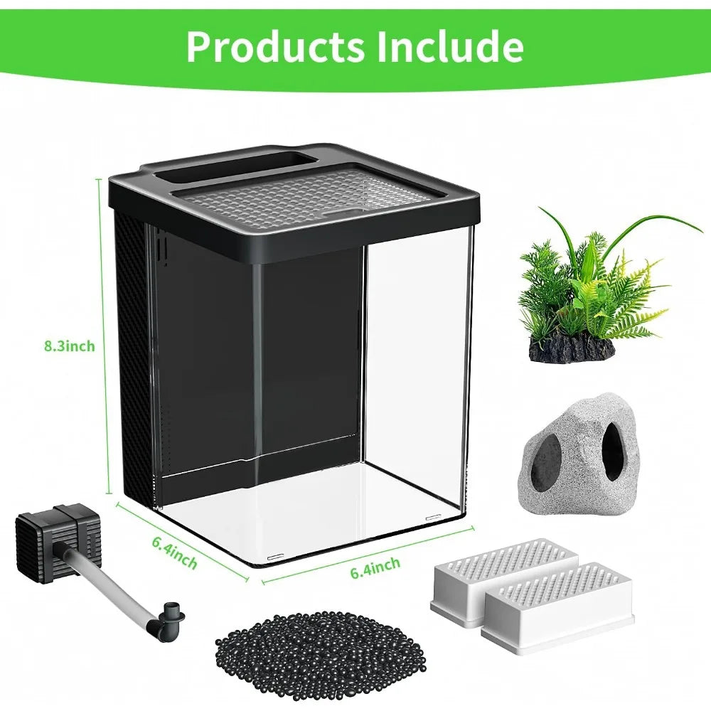 Betta Fish Tank