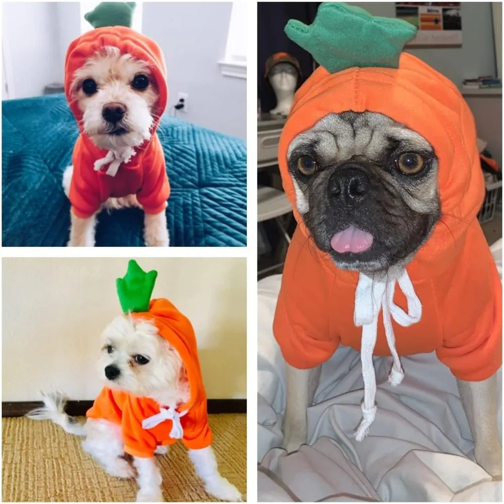 Dog Christmas Halloween Costumes