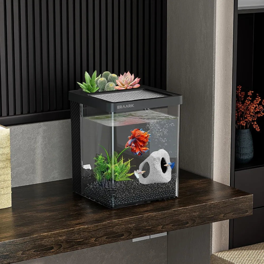 Betta Fish Tank