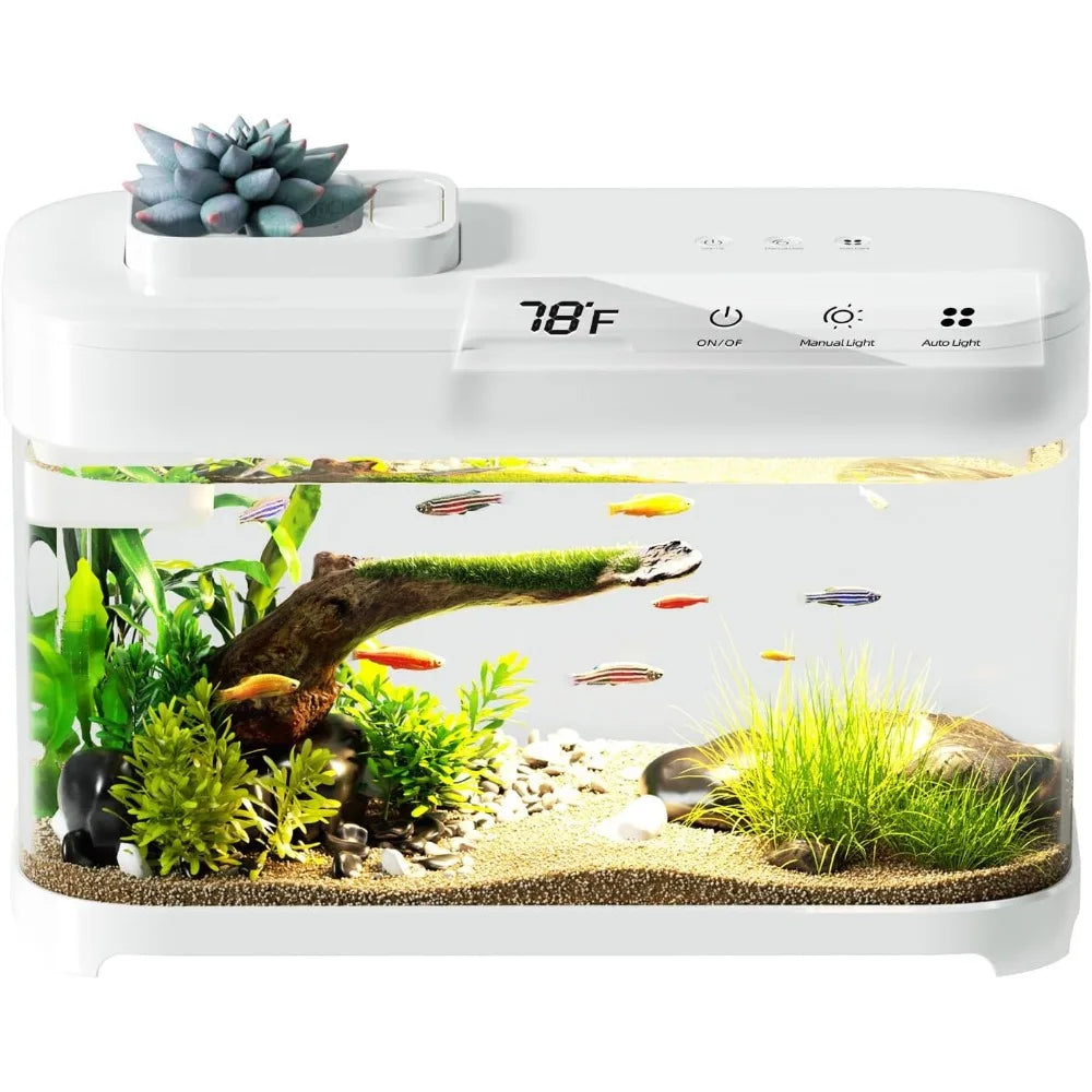 Smart Betta Fish Tank Aquarium 3 Gallon