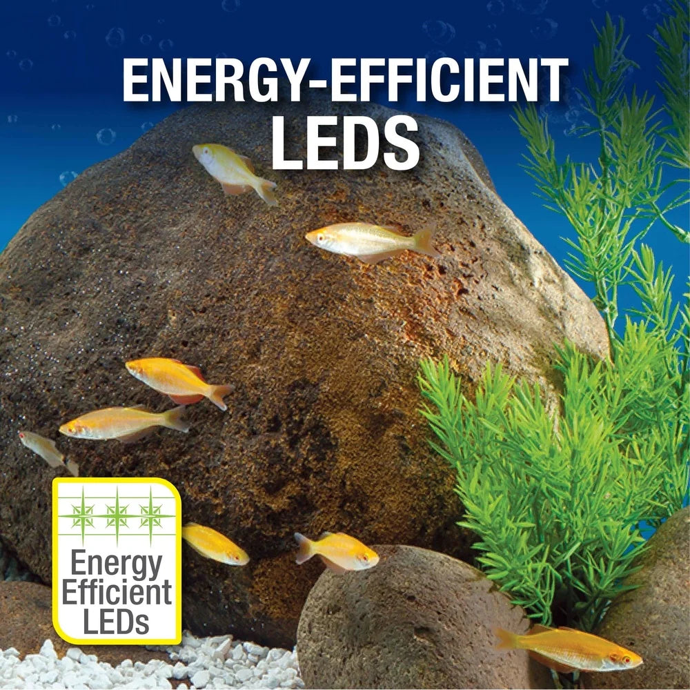 20 Gallon Complete Tropical Fish Tank Kit with LED Lighting