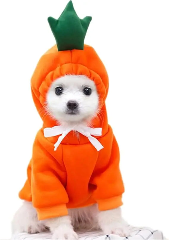Dog Christmas Halloween Costumes