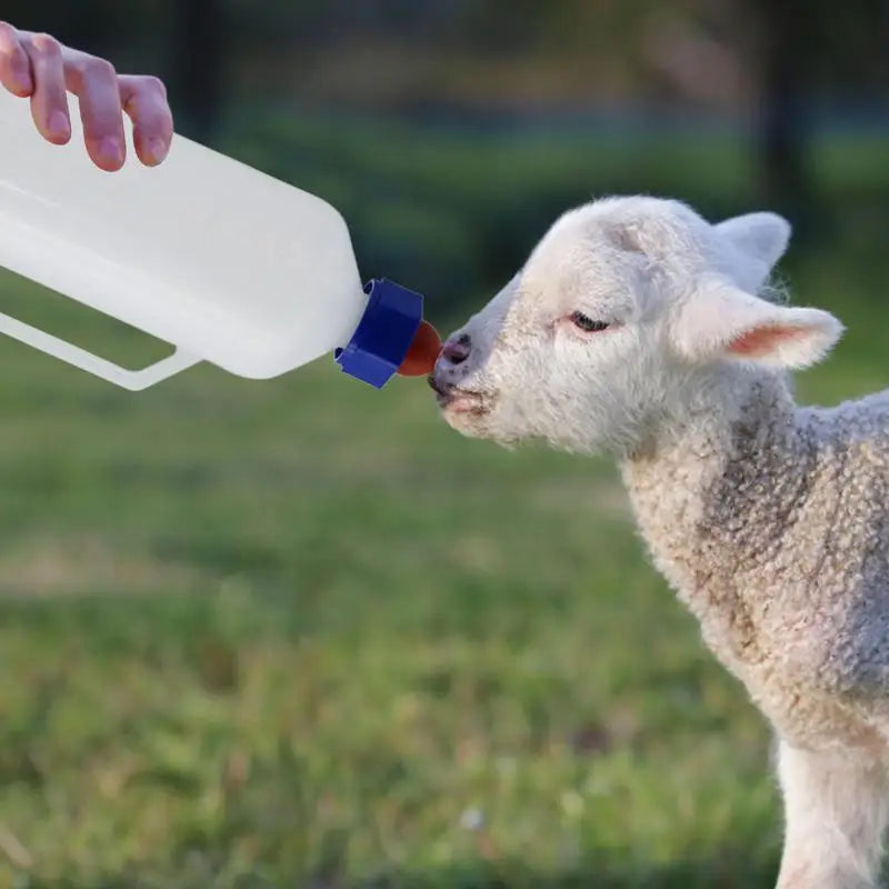 Lamb Bottle 1L