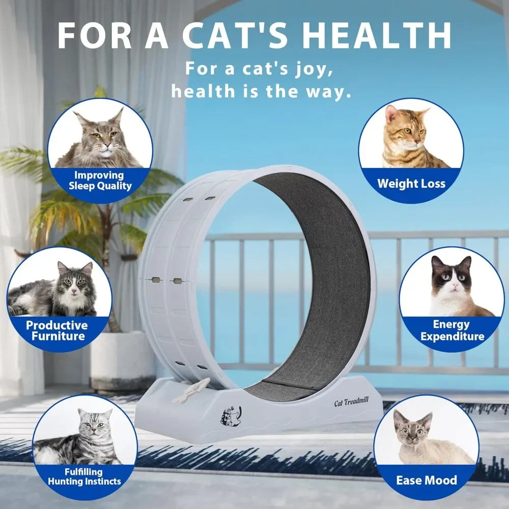 Cat Exercise Wheel