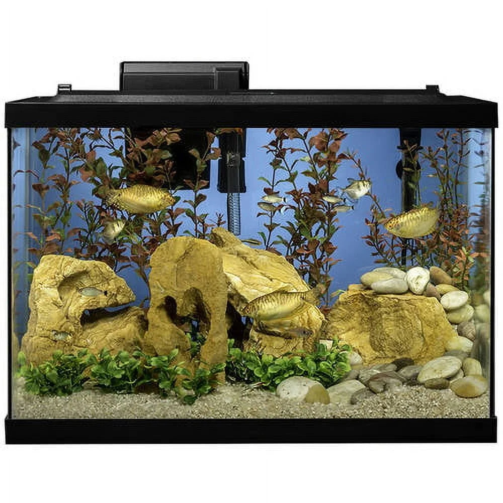 20 Gallon Complete Tropical Fish Tank Kit with LED Lighting