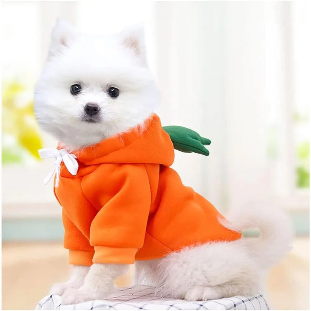Dog Christmas Halloween Costumes