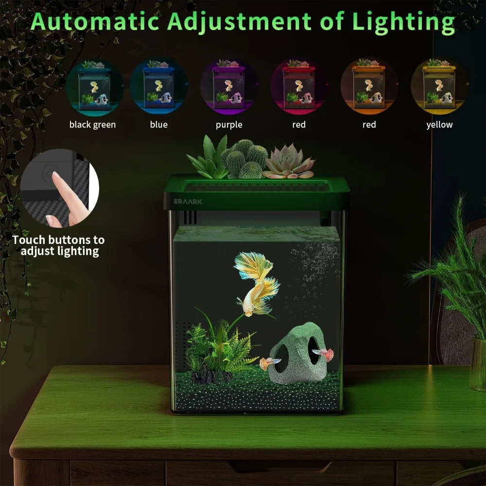 Betta Fish Tank