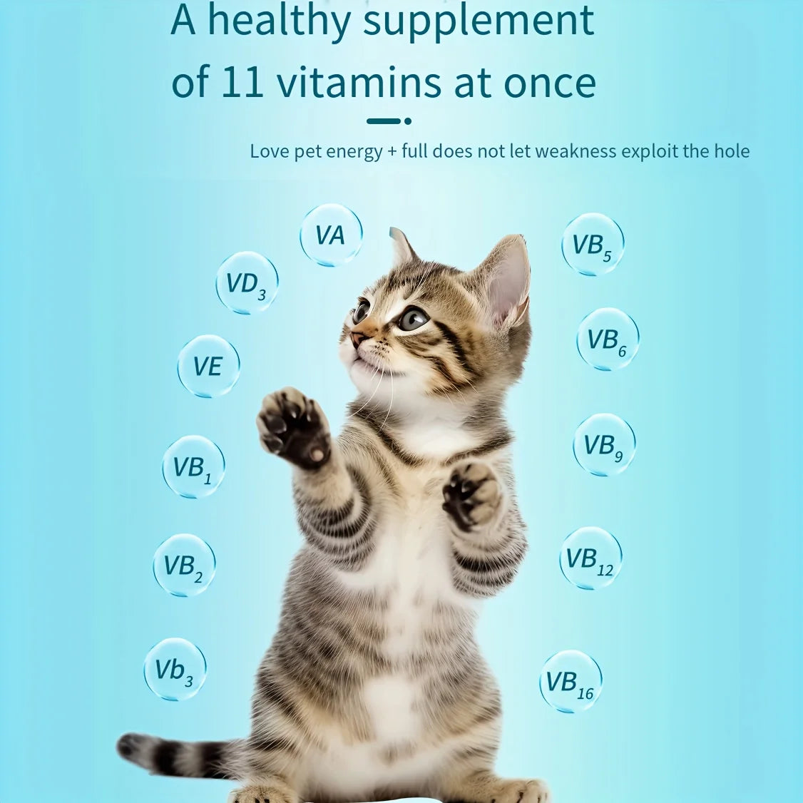 3-Pack(3 x 200 Count) - Dog and Cats 11 In 1 Multivitamin