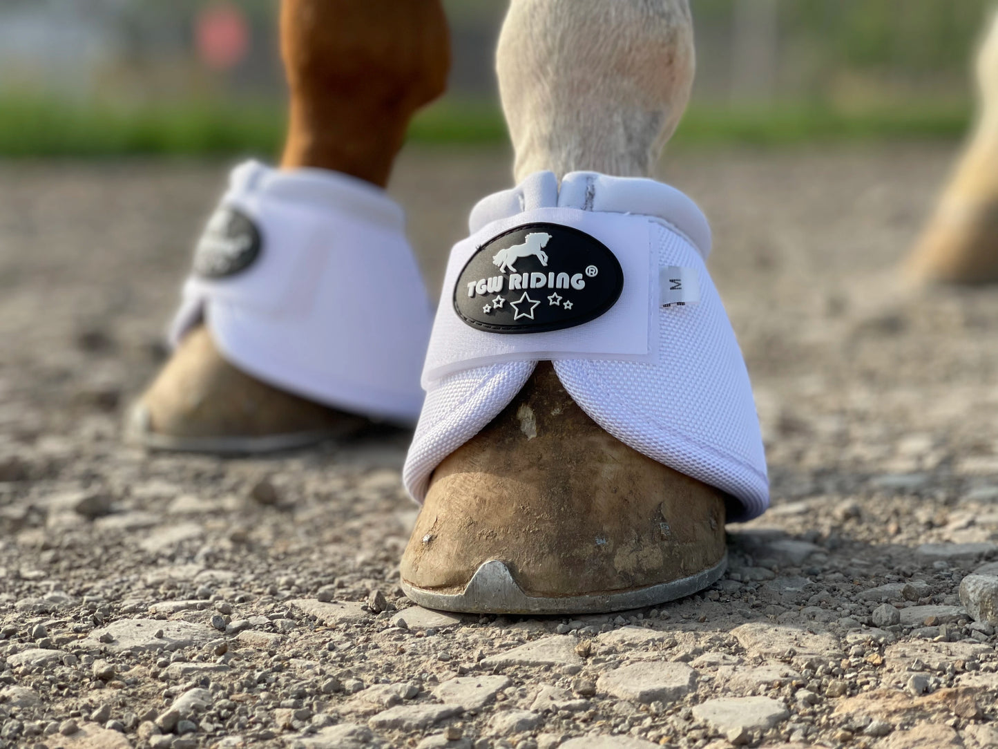 No-Turn Horse Bell Boots