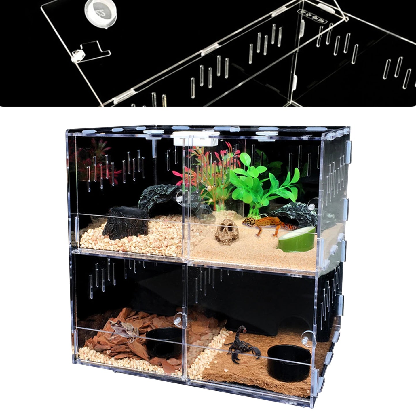 Acrylic Pet Box 4 Grids Reptile Lizard Crawling Insect Breeding Box