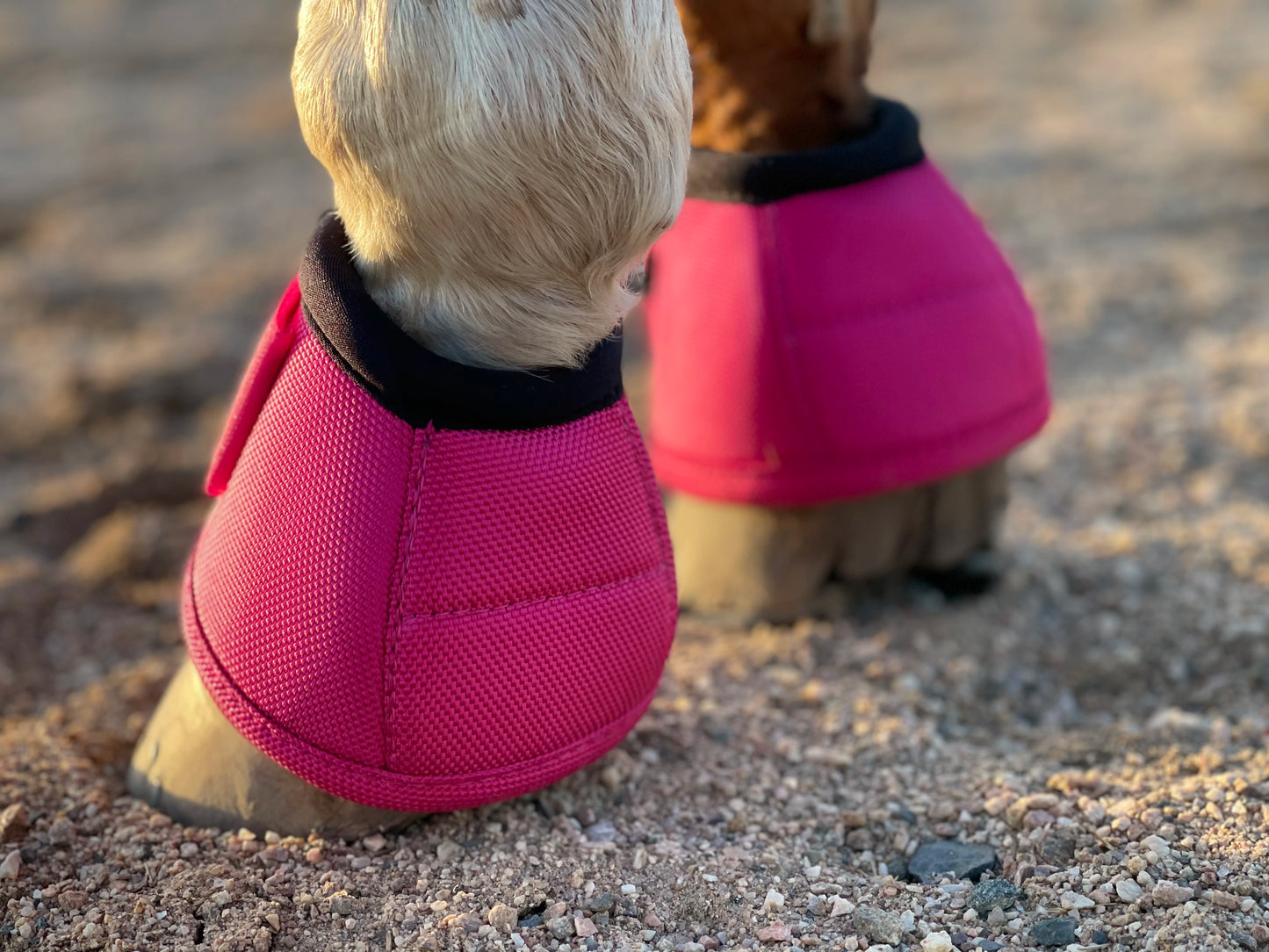 No-Turn Horse Bell Boots