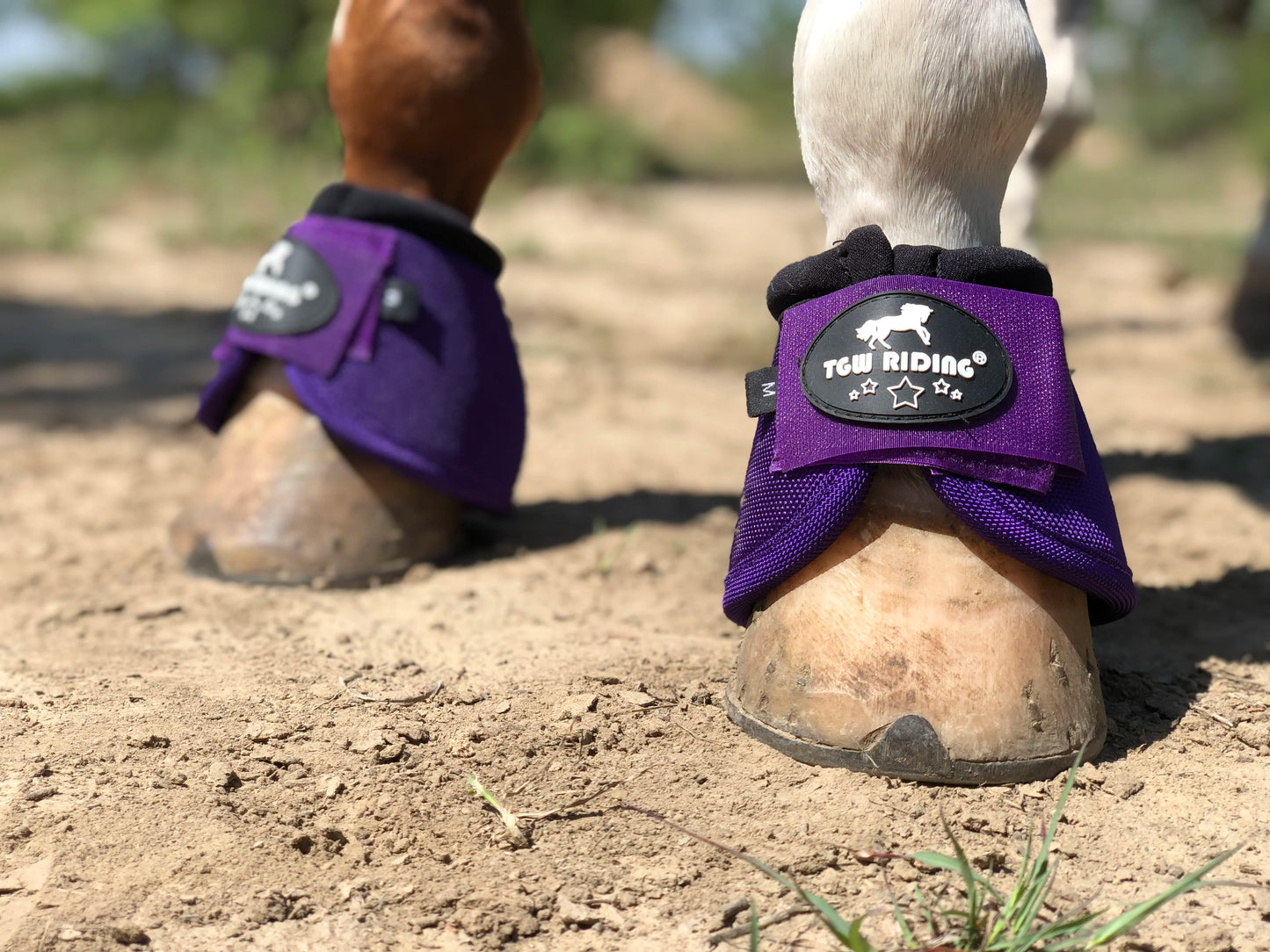 No-Turn Horse Bell Boots