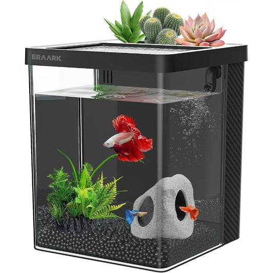 Betta Fish Tank
