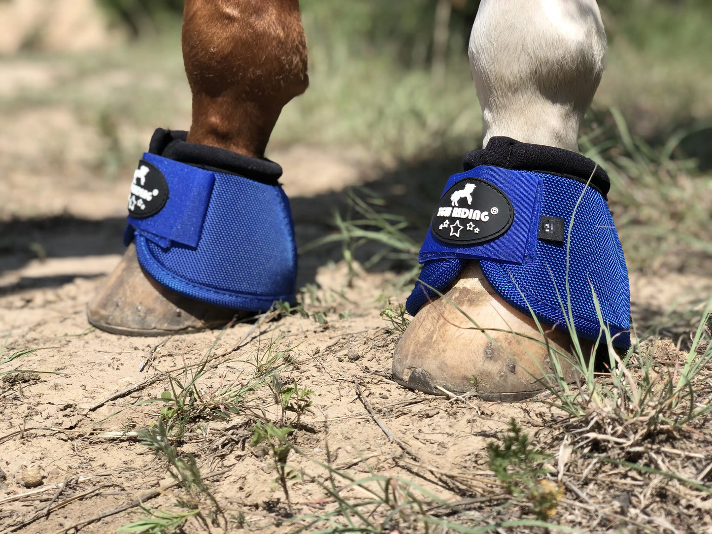 No-Turn Horse Bell Boots