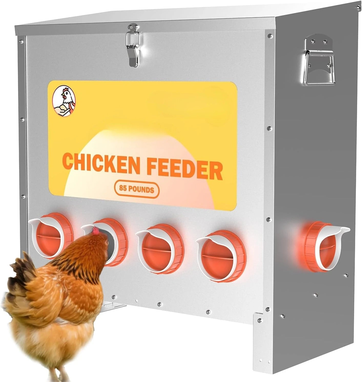Automatic Chicken Feeder