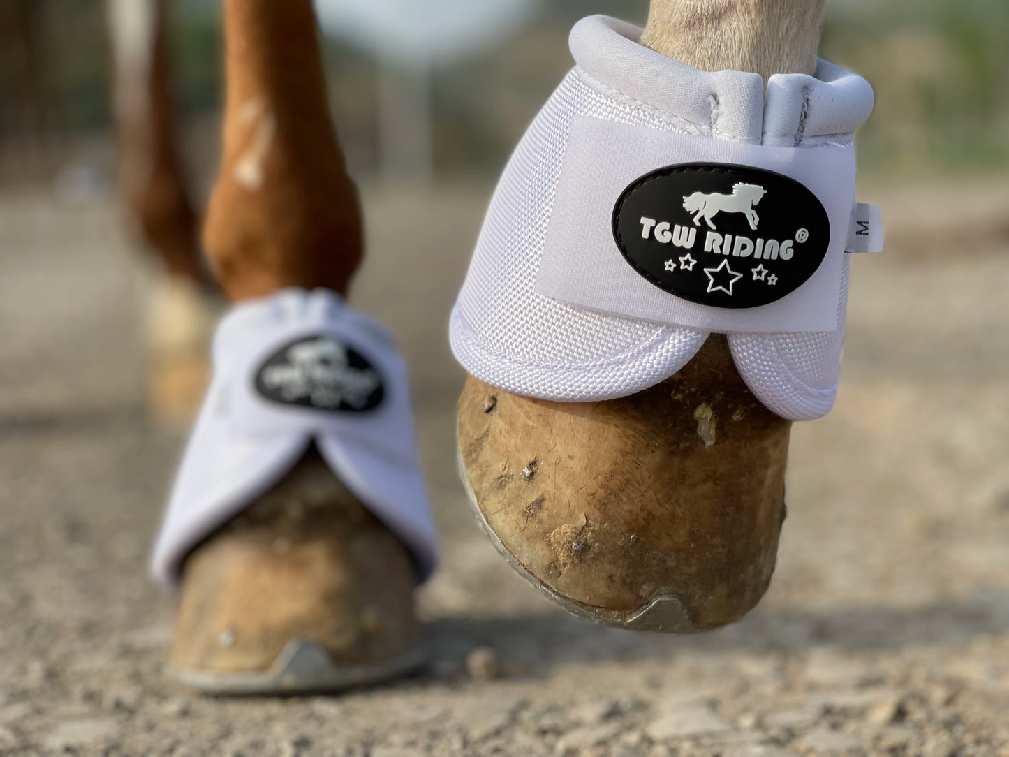 No-Turn Horse Bell Boots