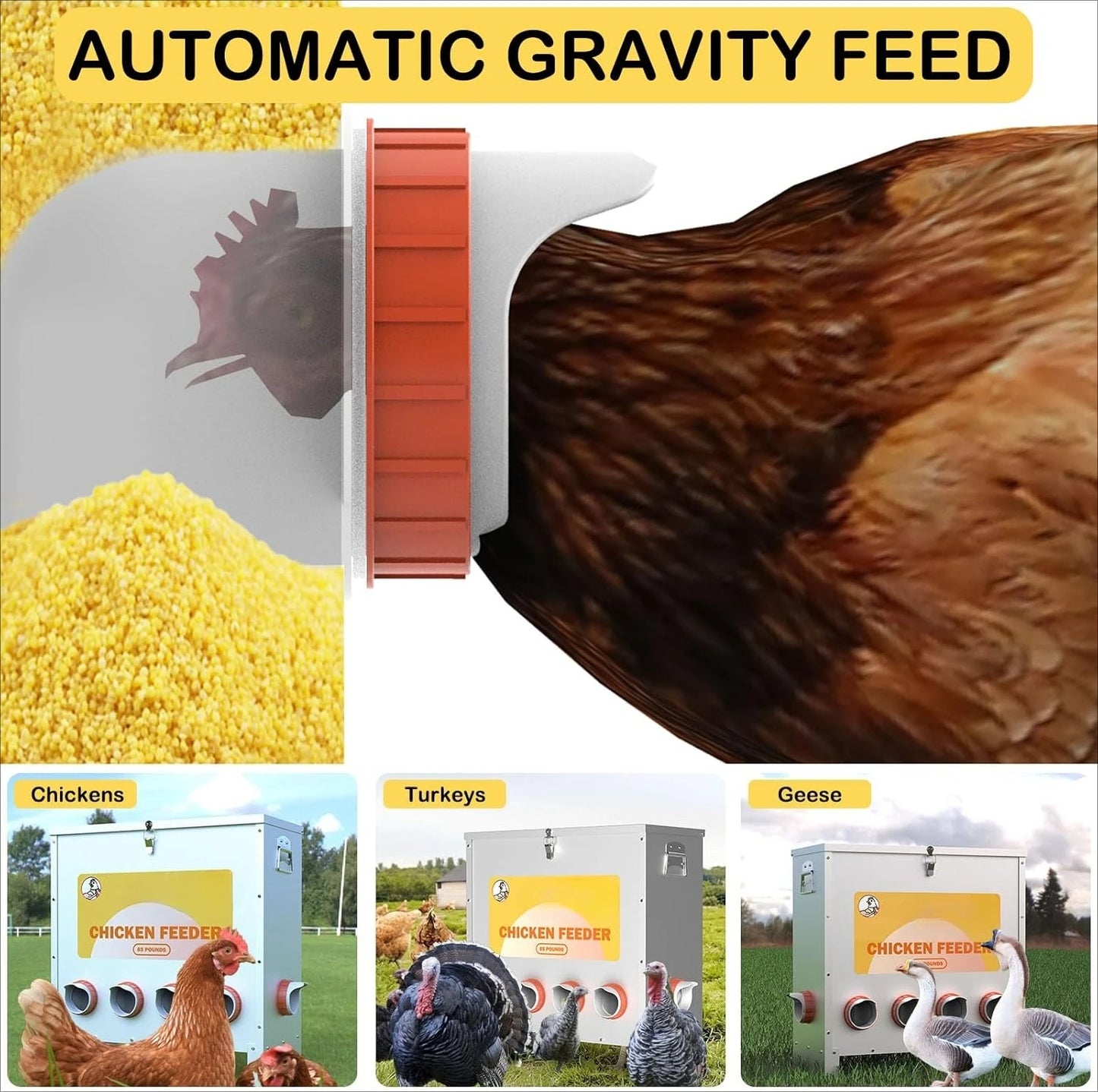 Automatic Chicken Feeder