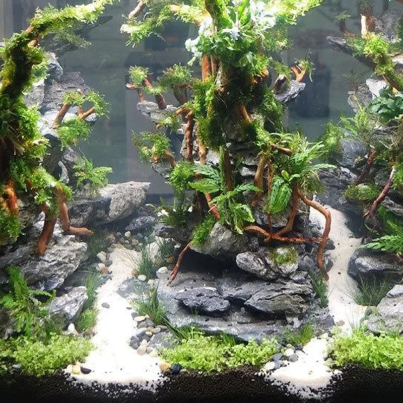 Aquarium Micro Landscape Natural Driftwood