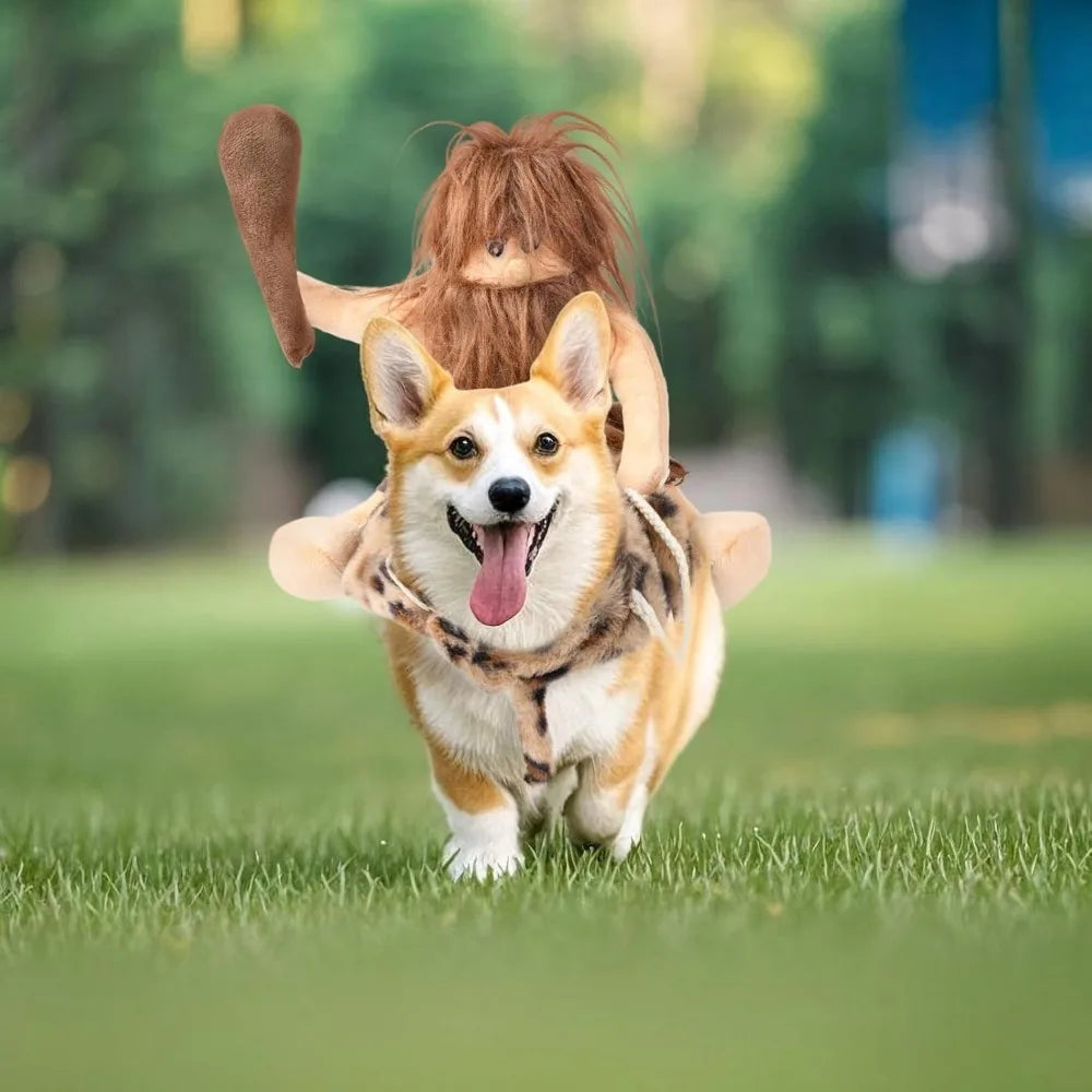 DELIFUR Dog Halloween Costume