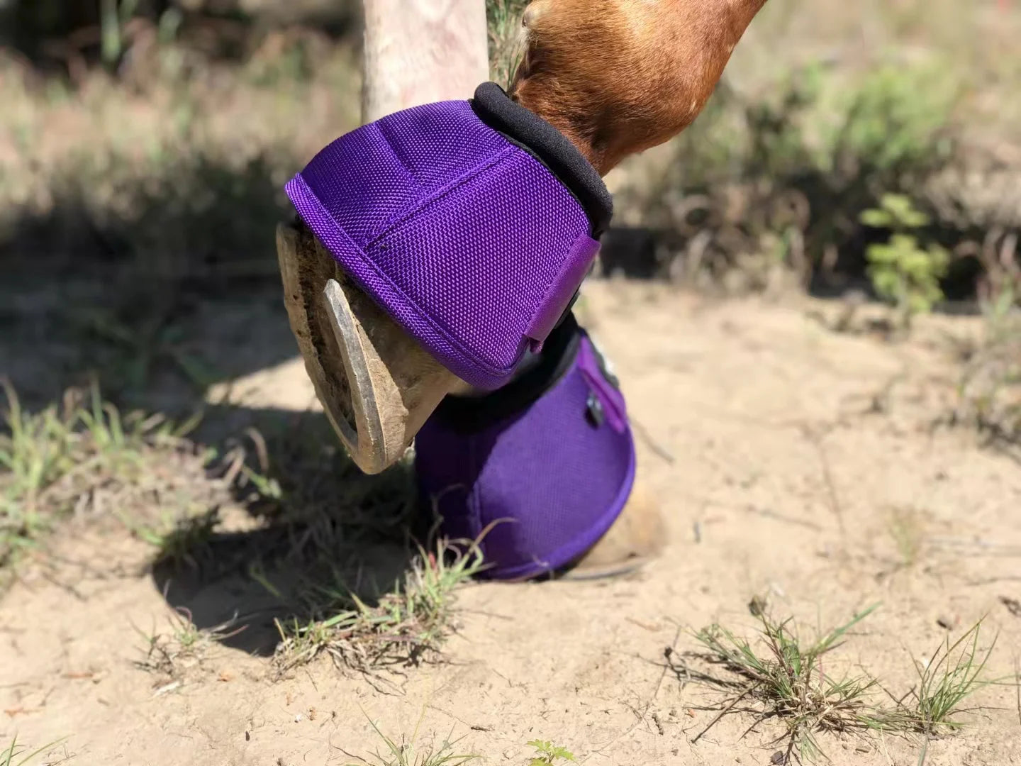 No-Turn Horse Bell Boots