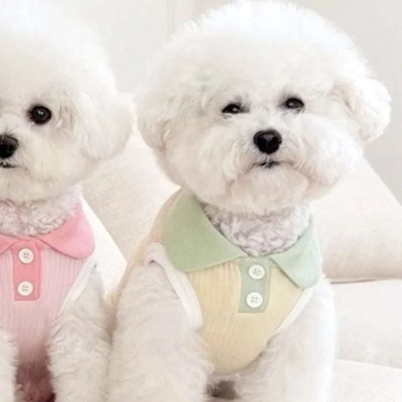 Summer Fashion Dog Clothes