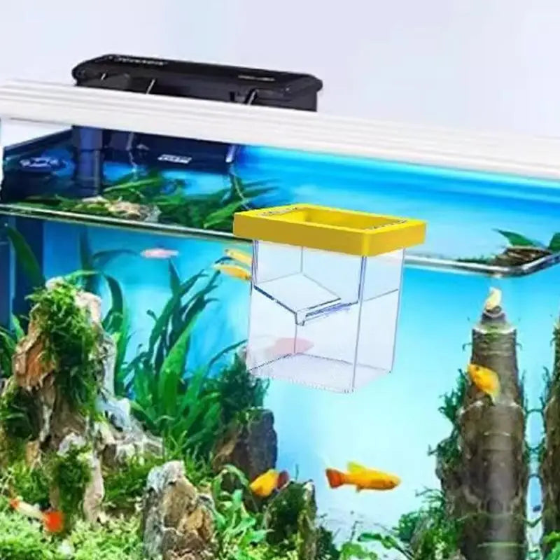 Fish Breeder Box