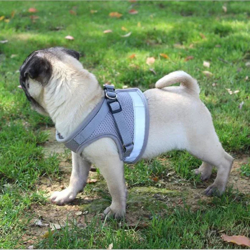 Adjustable Mesh Vest Dog Harness Collar Chest Strap