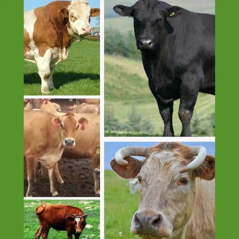 Calf Weaner Nose Rings 5x Cow Weaner Nose Ring Milk Sucking Preventer Farm Livestock Animal Weaning Tool Compact For Cattle