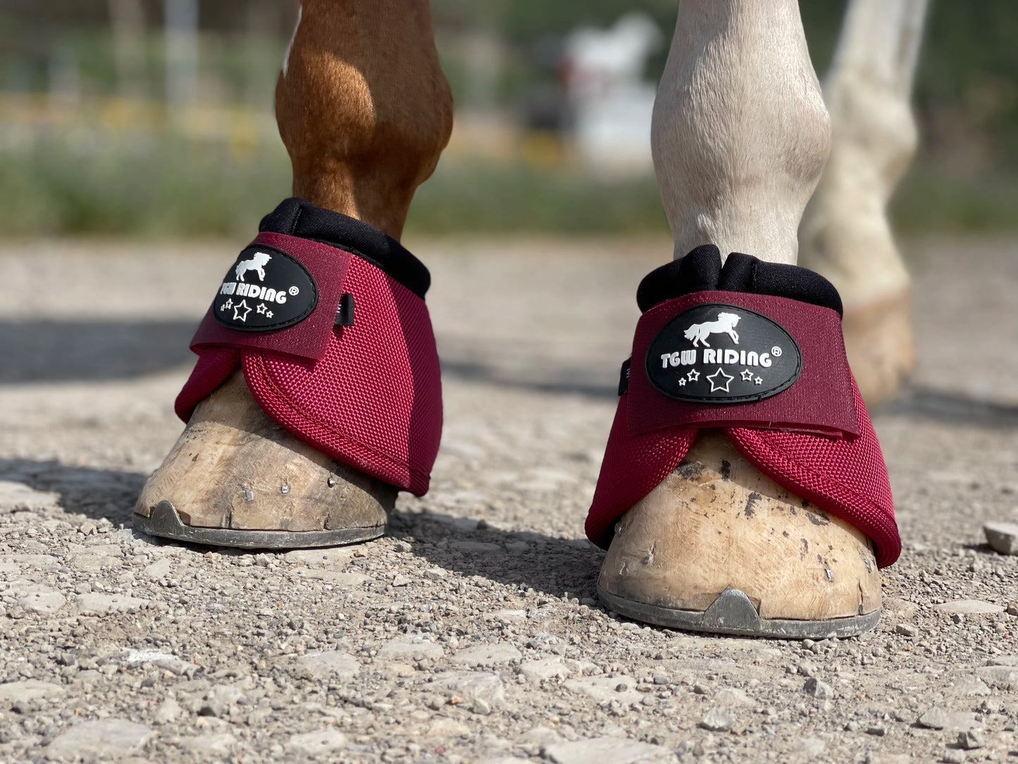 No-Turn Horse Bell Boots