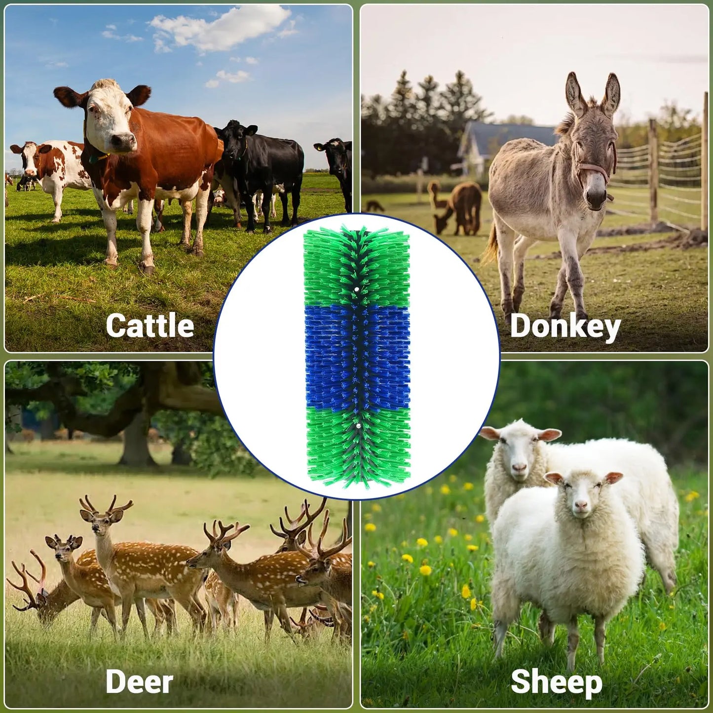 Horse Scratcher Full Massage Grooming Brush Kit