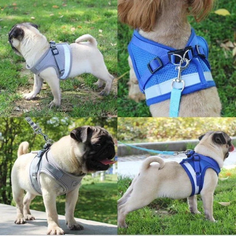 Adjustable Mesh Vest Dog Harness Collar Chest Strap