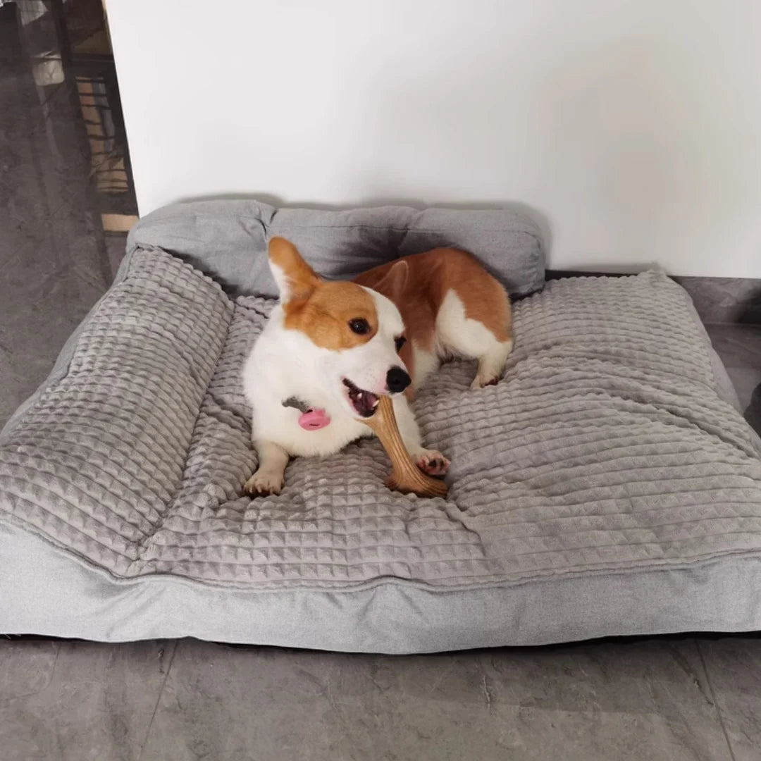 Dog beds for large dogs