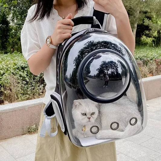 Portable Transparent Pet Cat Carrier