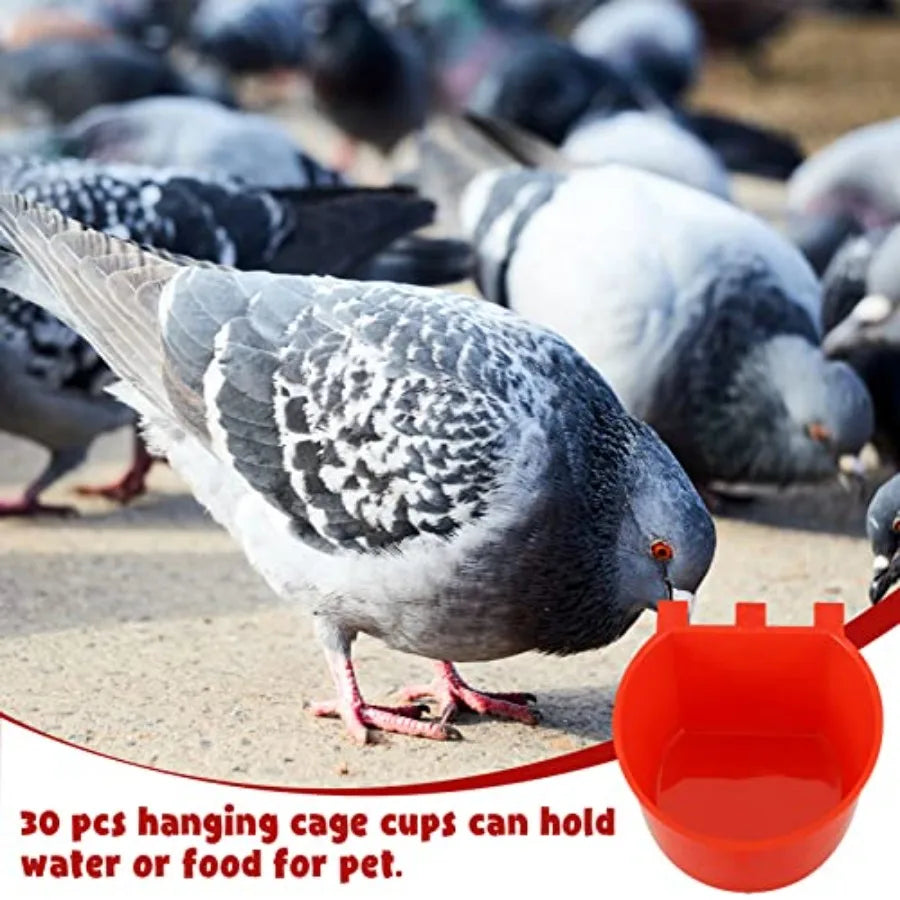 30 Pcs Cage Cups Birds Feeders Bird Water Dispenser