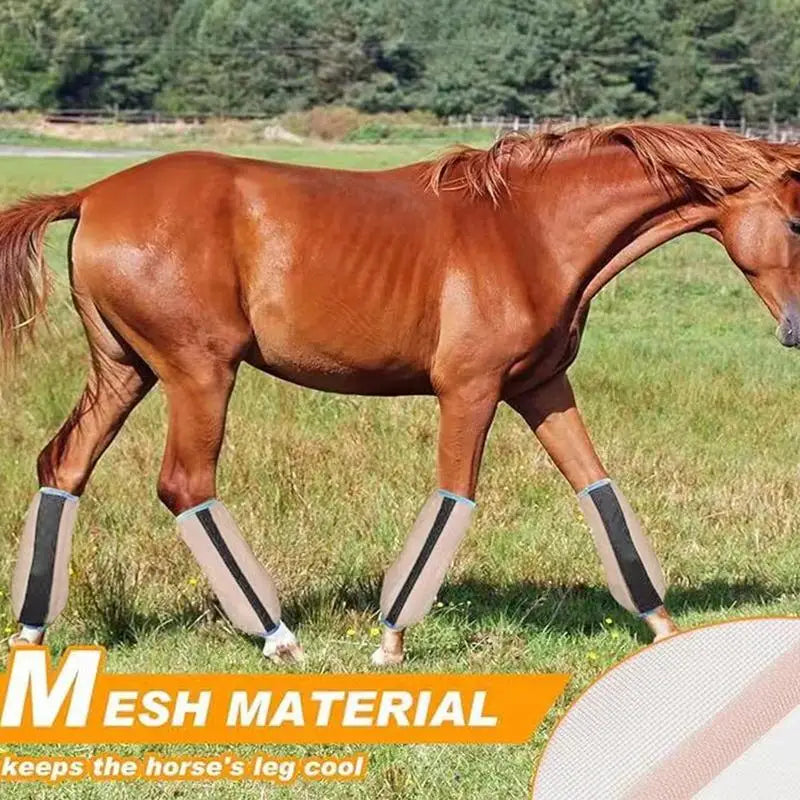 Protective Horse Leggings Fly Boot